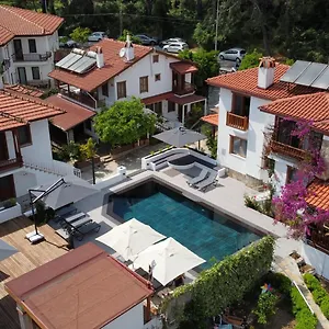  Villa Tomsan